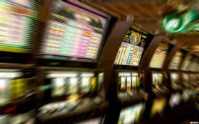 petpawa